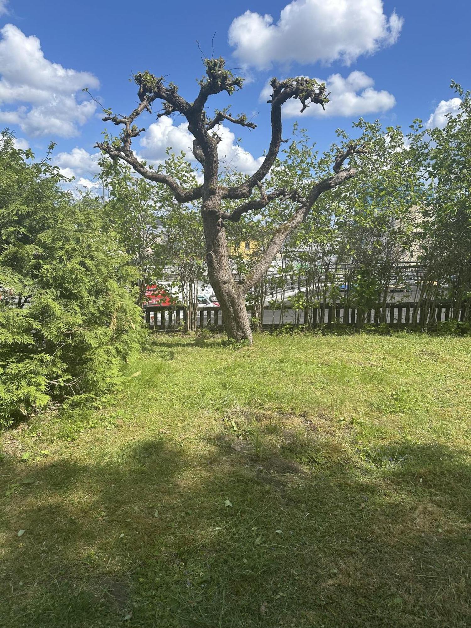 Feriehus - 5-beds - Sleeps 12 - Garden Stockholm